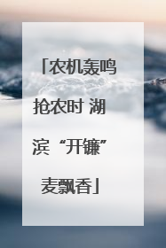 农机轰鸣抢农时 湖滨“开镰”麦飘香